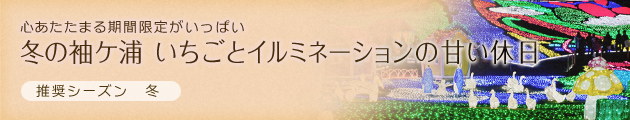 心あたたまる期間限定がいっぱい｜冬の袖ケ浦 いちごとイルミネーションの甘い休日（推奨シーズン：冬）