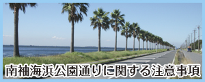 南袖海浜公園通りに関する注意事項